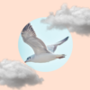 gzN34lX5V2aiRnXeB3bzRXZy9lMwIjMtADOtATNtAzMykDM30SM2cTM5AzMzkzM.png